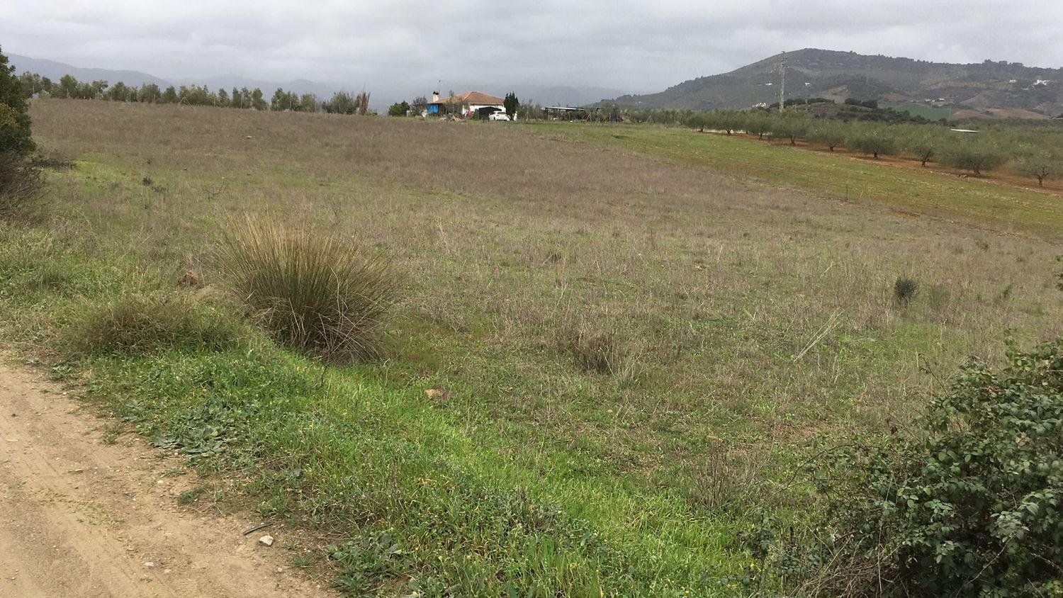 Terreno rural
